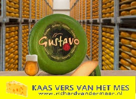 GUSTAVO, Dutch cheese, Italian temperament!